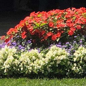 support your host mystery box